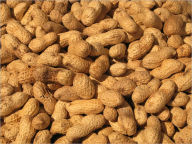 Title: How to Deal with Peanut Allergy: The Truth about Peanut Allergy, Author: David Hall