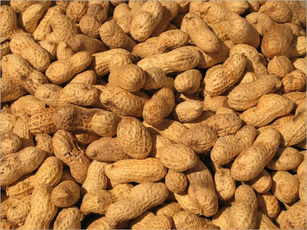 How to Deal with Peanut Allergy: The Truth about Peanut Allergy