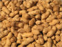 How to Deal with Peanut Allergy: The Truth about Peanut Allergy