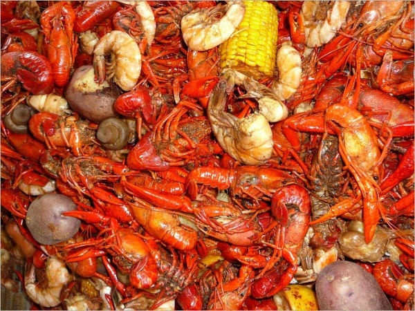 A Cookbook for Cajun Lovers Only: A Great Compilation of Delicious Cajun Recipes I Collected for Years