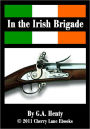 In the Irish Brigade: A Tale of War in Flanders and Spain