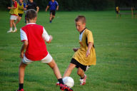 Title: SPECIAL SOCCER TRAINING TECHNIQUES FOR KIDS, Author: Douglas Foote