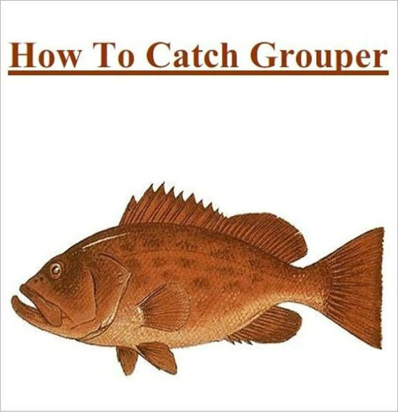 Fishing - knowledge and Know How to Catch Grouper