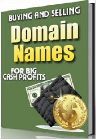 Title: Money Making Opportunity - Buying & Selling Domain Names for Big Cash Profits, Author: Irwing