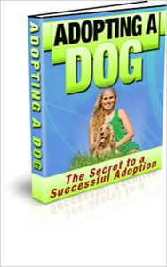 Title: Adopting A Dog: The Secrets To A Successful Adoption!, Author: Bdp