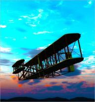 Title: THE HISTORY OF THE AIRPLANE :THE WRIGHT BROTHERS, Author: Harry Coolim