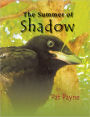 The Summer of Shadow