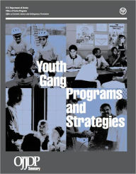 Title: Youth Gang Programs and Strategies, Author: U.S. Department of Justice Office of Justice Programs