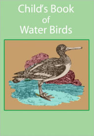 Title: Child's Book of Water Birds, Author: Anonymous