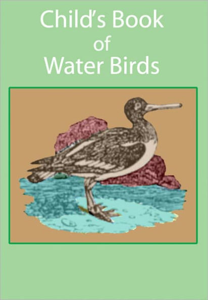 Child's Book of Water Birds