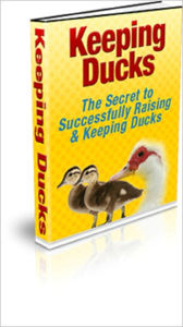 Title: Keeping Ducks (The Secret to Successfully Raising & Keeping Ducks), Author: Anonymous