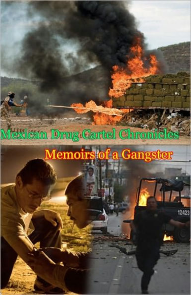 Mexican Drug Cartel Chronicles Part 2: Memoirs of a Gangster
