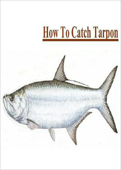 Fishing - Knowledge and Know How to Catch Tarpon