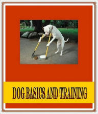 Title: Keys to Success - Dog Basics and Training, Author: Irwing