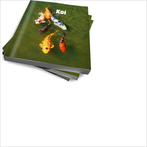 Want To Have Pet Koi? Learn The Essentials Of Keeping Koi And Koi Pond Maintenance