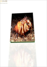 Title: Raising A Healthy Hermit Crab: The Definitive Guide, Author: Chuck Smith