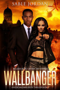 Title: Wallbanger, Author: Book Cover By Design