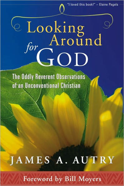 Looking Around for God: The Oddly Reverent Observations of an Unconventional Christian