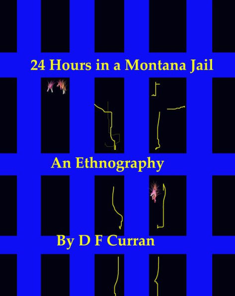 24 Hours in a Montana Jail: An Ethnography