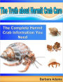 The Truth about Hermit Crab Care: The Complete Hermit Crab Information You Need