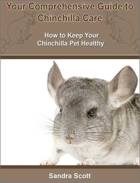 Your Comprehensive Guide to Chinchilla Care: How to Keep Your Chinchilla Pet Healthy