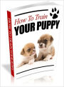 How to Train Your Lovely Puppy