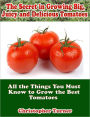 The Secret in Growing Big, Juicy and Delicious Tomatoes: All the Things You Must Know to Grow the Best Tomatoes