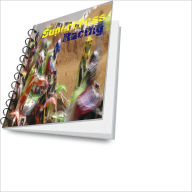 Title: Supercross Racing: Discover The Fun of This Unique Sport, Author: Brian A. Phair