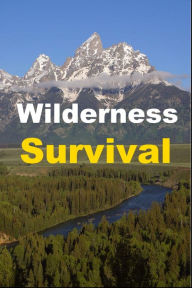 Title: Wilderness Survival, Author: jack earl