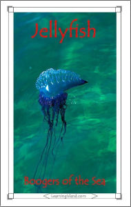 Title: Jellyfish: Boogers of the Sea, Author: Caitlind Alexander