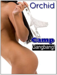 Title: Camp Gangbang! (Co-Ed Fourplay erotica/erotic story), Author: Orchid