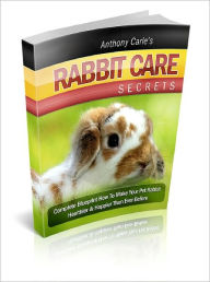 Title: Rabbit Care How To Take Care Of Your Lovely Rabbit - Without Making Silly Mistakes!, Author: Lou Diamond