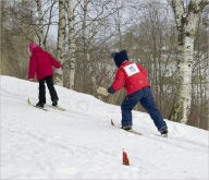 Title: Skiing Basics for Beginners, Author: Robert Hill