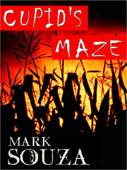 Cupid's Maze