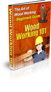 Title: A Work of Art - The Ultimate Craftsmanship Wood Working 101 - Beginners Guide., Author: Irwing