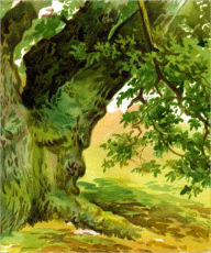 Title: TREES: HOW TO PAINT THEM IN WATERCOLOURS, Author: Madeline Sherring