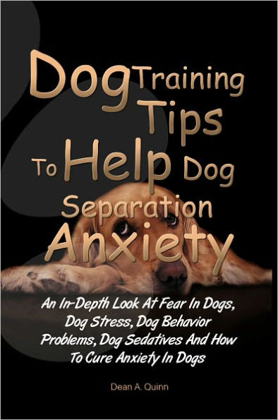 Dog Training Tips To Help Dog Separation Anxiety: An In-Depth Look At Fear In Dogs, Dog Stress, Dog Behavior Problems, Dog Sedatives And How To Cure Anxiety In Dogs