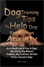 Dog Training Tips To Help Dog Separation Anxiety: An In-Depth Look At Fear In Dogs, Dog Stress, Dog Behavior Problems, Dog Sedatives And How To Cure Anxiety In Dogs