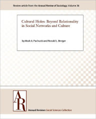 Title: Cultural Holes: Beyond Relationality in Social Networks and Culture, Author: Mark A. Pachucki