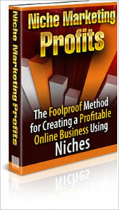 Title: Niche Marketing Profits: The Foolproof Method For Creating A Profitable Online Business, Author: Anonymous