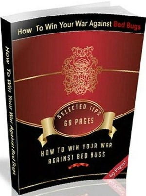 Healthy Tips - How To Win Your War Against Bed Bugs