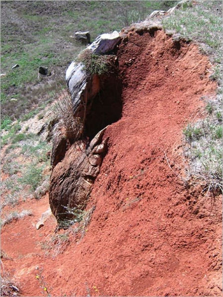 Right Use of Lime in Soil Improvement (Illustrated)