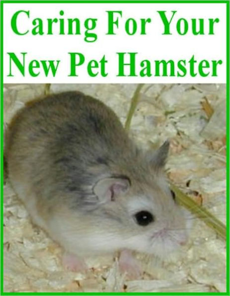 Caring For Your New Pet Hamster