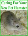 Caring For Your New Pet Hamster