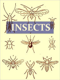 Title: On the Origin and Metamorphoses of Insects, Author: John Lubbock