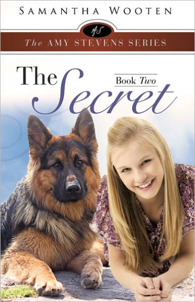 The Amy Stevens Series The Secret Book Two