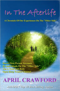 Title: In The AfterLife: A Chronicle Of Our Experiences On The 