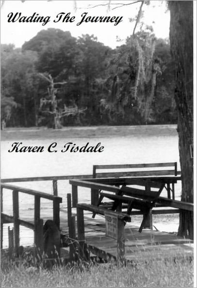 Wading The Journey