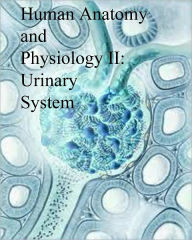 Title: Human Anatomy and Physiology II: Urinary System, Author: Dr. Evelyn J. Biluk