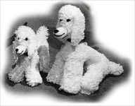 Title: Poodle and Puppy Crochet Patterns - Stuffed Poodle Pattern (#107), Author: The Vintage Info Network